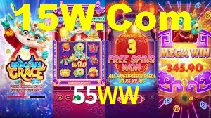 Premium Interface 55WW